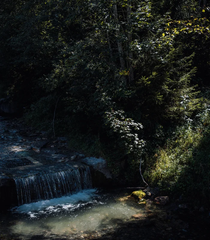 Wonach steht Ihnen heute der Sinn in Kitzbühel? Kleiner Wasserfall im schattigen Wald mit klarem Wasser und grüner Vegetation