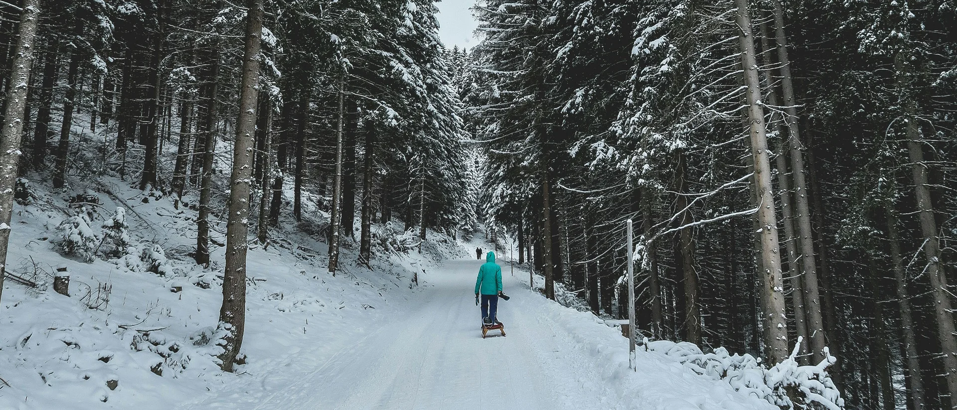 Wonach steht Ihnen heute der Sinn in Kitzbühel? Person zieht Schlitten auf schneebedecktem Waldweg mit verschneiten Tannen