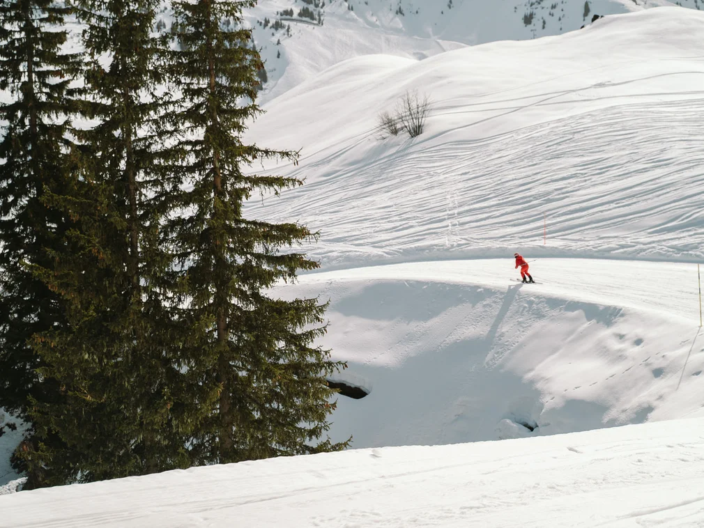 Bilder, die Sie sehen müssen. Skifahrer in roter Kleidung fährt auf schneebedecktem Berg neben Tannenbäumen