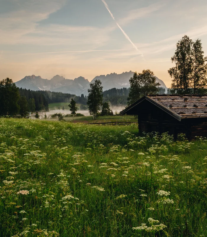 Ausflugsziele & Sehenswürdigkeiten rund um Kitzbühel Blumenwiese mit Holzhütte vor Bergen im Nebel bei Sonnenuntergang