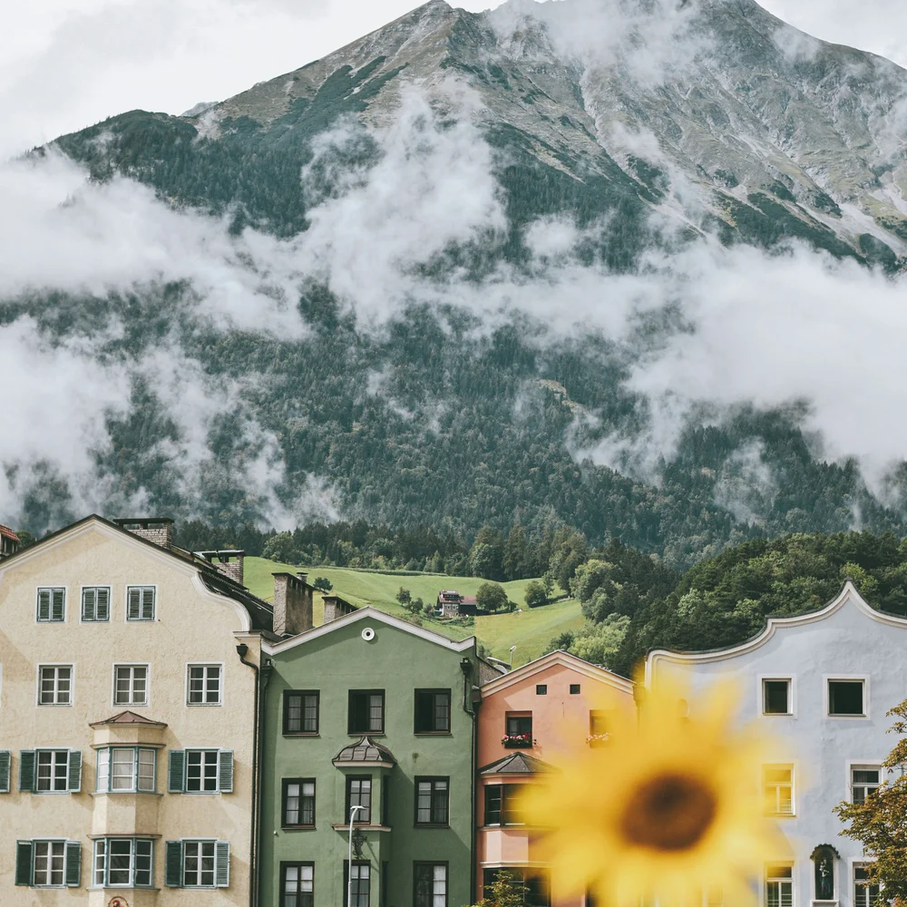 Kulturhotel. Schlosshotel. Kitzbühel. Bunte Häuser vor nebligen Bergen mit einer unscharfen Sonnenblume im Vordergrund