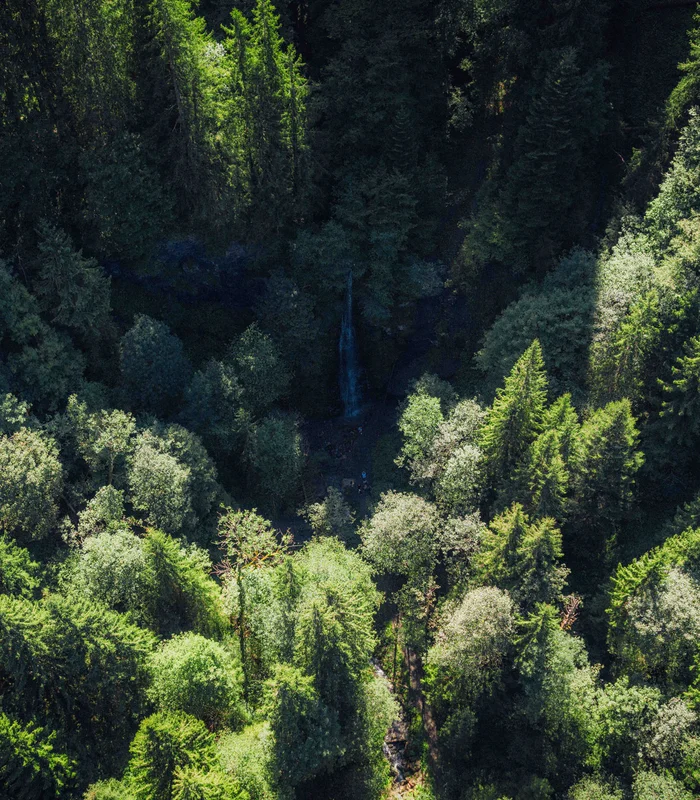 Wonach steht Ihnen heute der Sinn in Kitzbühel? Luftaufnahme eines dichten, grünen Waldes mit einem kleinen Wasserfall in der Mitte