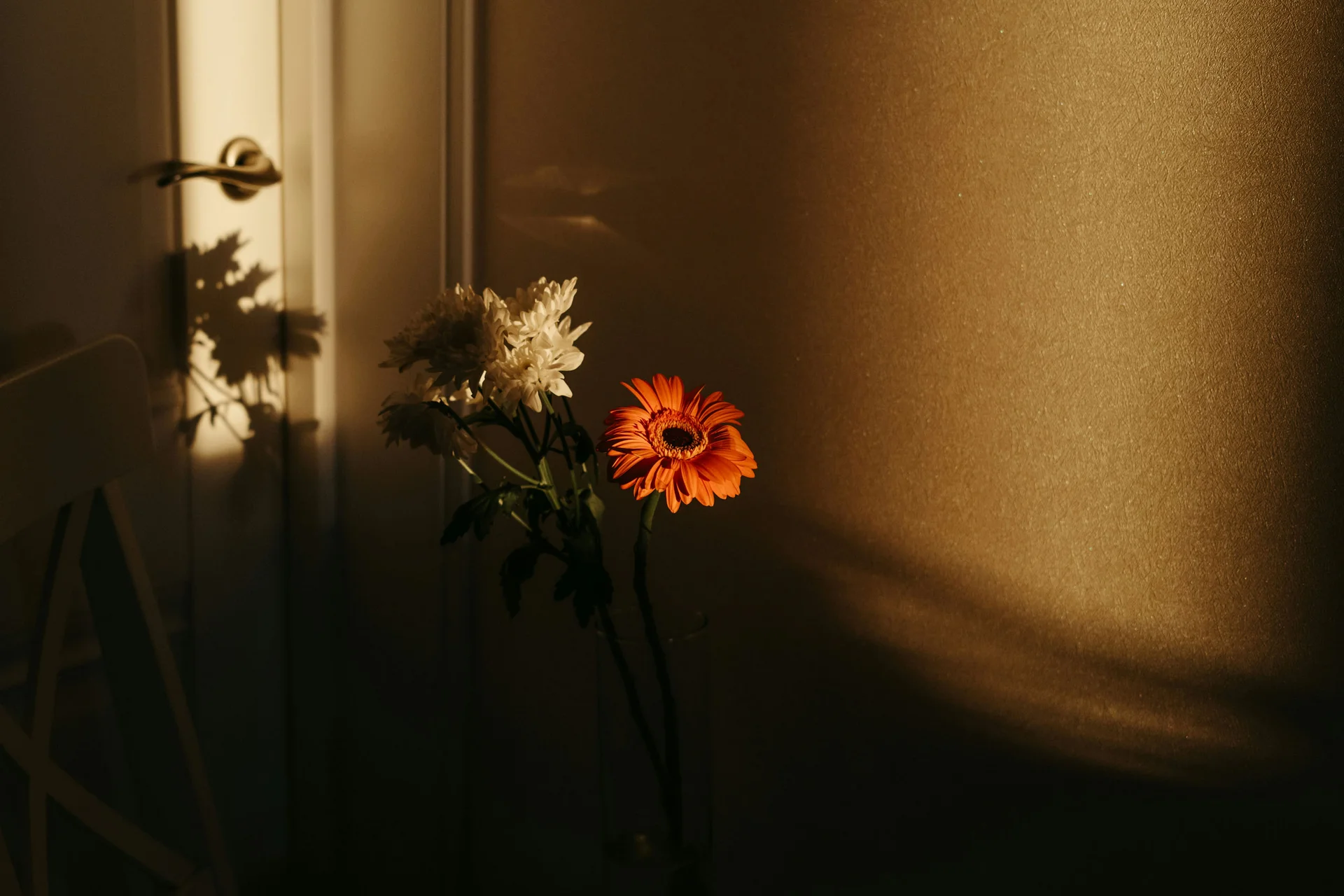 Bilder, die Sie sehen müssen. Blumenstrauß mit weißen und einer orangen Blume vor goldener Wand im warmen Licht