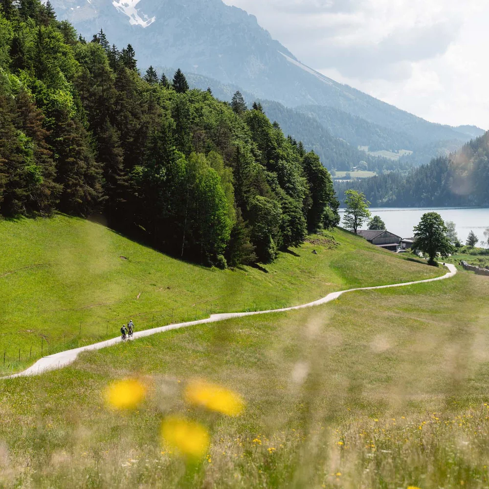 Rund ums Bikehotel in Kitzbühel wandern Wanderweg durch grüne Wiesen mit Wald, See und Bergen im Hintergrund