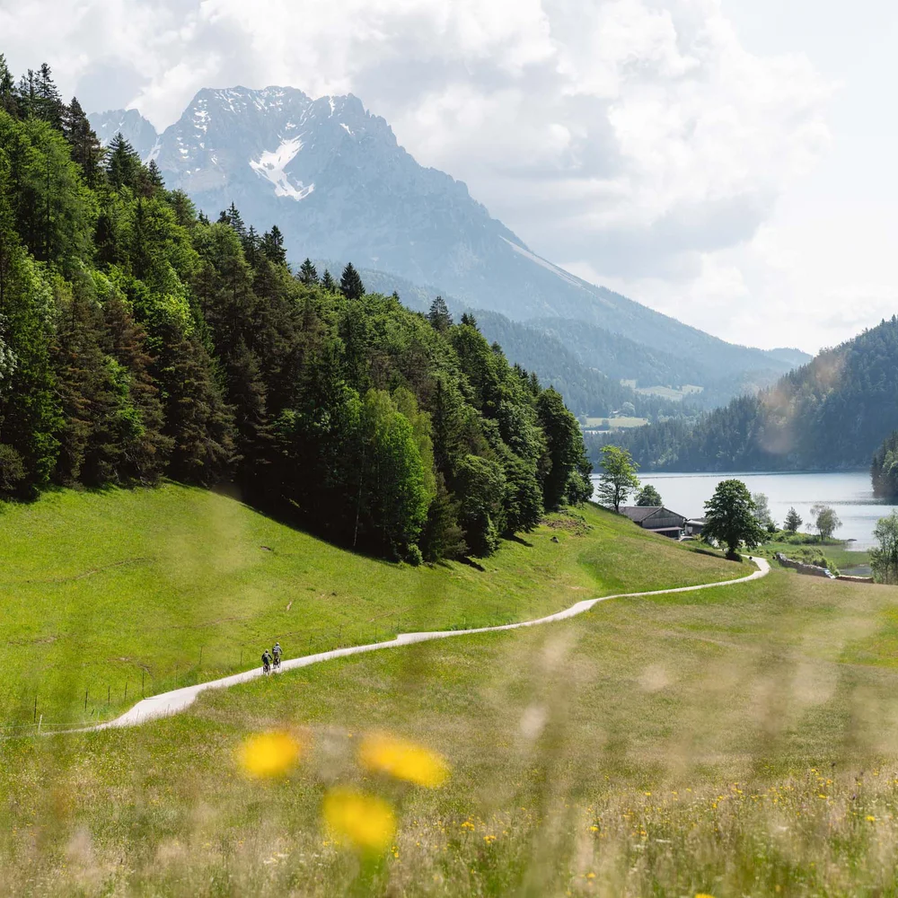 Schlosshotel – 5 Sterne in Kitzbühel Wanderweg durch grüne Wiesen mit Wald, See und Bergen im Hintergrund