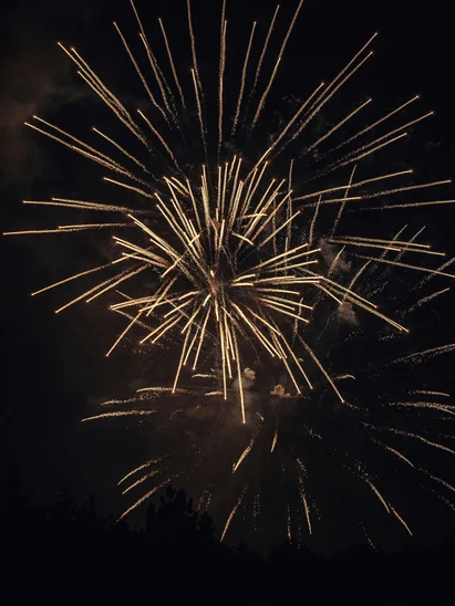 Silvester in Kitzbühel = Hotel, Party, Champagner Goldene Feuerwerksstrahlen leuchten am Nachthimmel über dunklem Wald