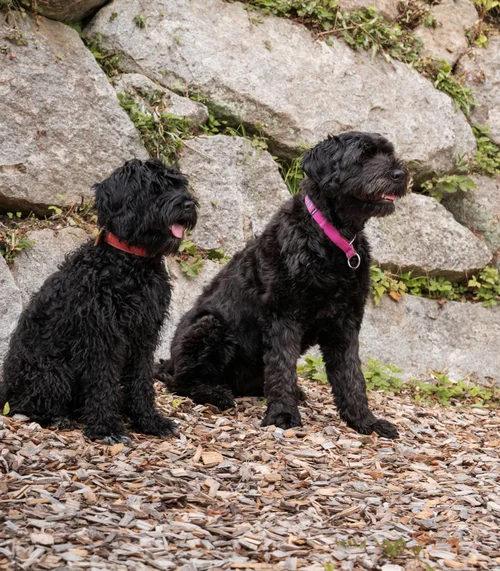 Schlosshotel Kitzbühel – ein Premiumerlebnis Schlosshotel Kitzbühel – ein Premiumerlebnis