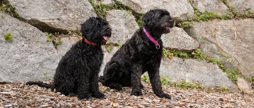 Schlosshotel Kitzbühel – ein Premiumerlebnis Schlosshotel Kitzbühel – ein Premiumerlebnis